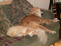 a corral about 8 miles in