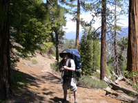 ferrari on the trail