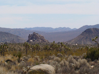 boulderfield in the distance